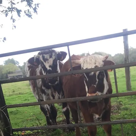 Vue Sur Marais Et 500 M De La