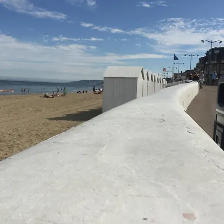 Appartement Vue Sur Marais Et 500 M De La