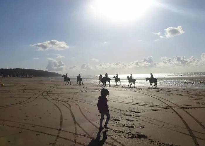 Vue Sur Marais Et 500 M De La Lejlighed