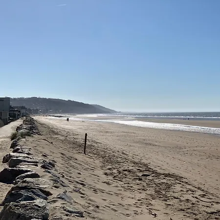Vue Sur Marais Et 500 M De La