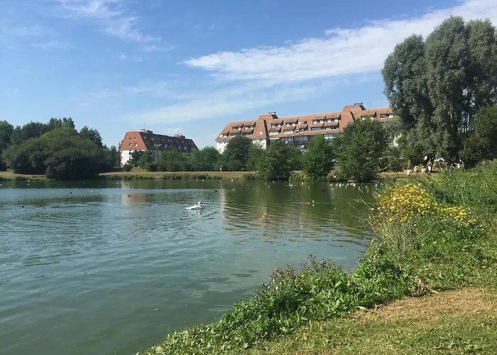 Vue Sur Marais Et 500 M De La Daire