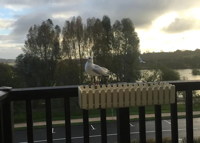 Vue Sur Marais Et 500 M De La Daire *