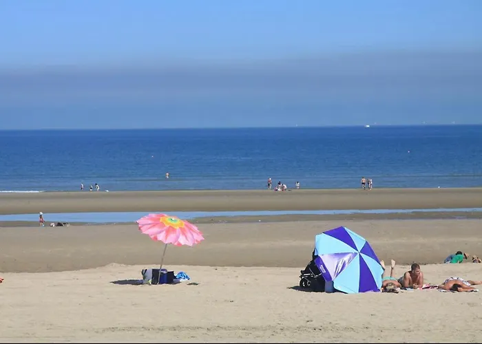 アパート Vue Sur Marais Et 500 M De La *