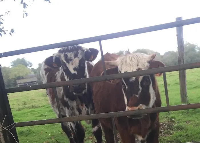 Vue Sur Marais Et 500 M De La
