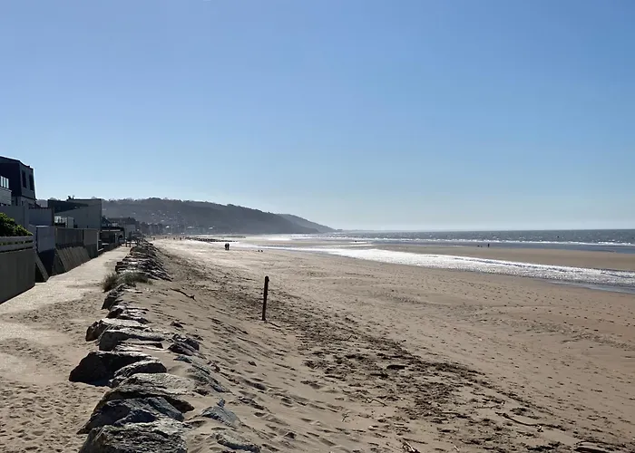Vue Sur Marais Et 500 M De La